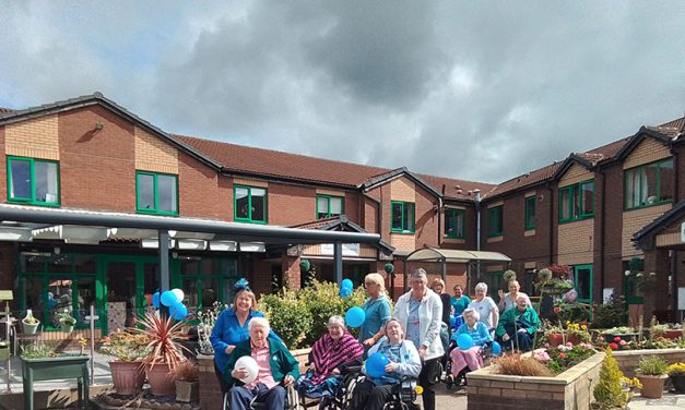 Wheelchair Push / Walk