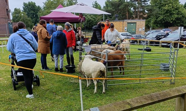 ACORN Petting Zoo Bow Out On A High