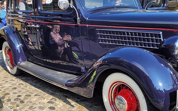 Acorn Grassington Adventure