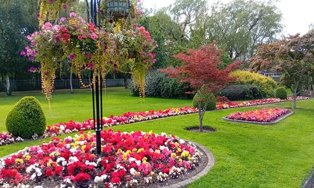 Well Done Town Council