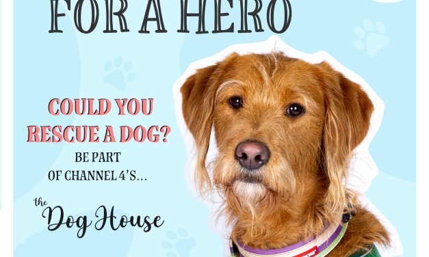 Channel 4’s The Dog House