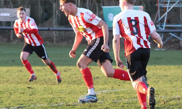 N.A.F.C. Report