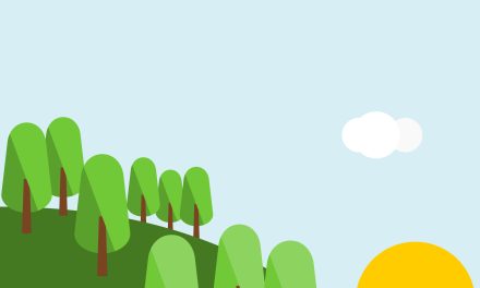 Consultation Opens into Incinerator Application