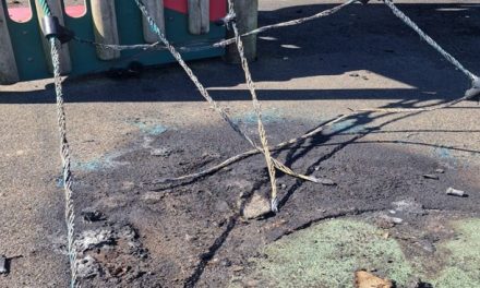 Patrols stepped up to tackle park vandalism