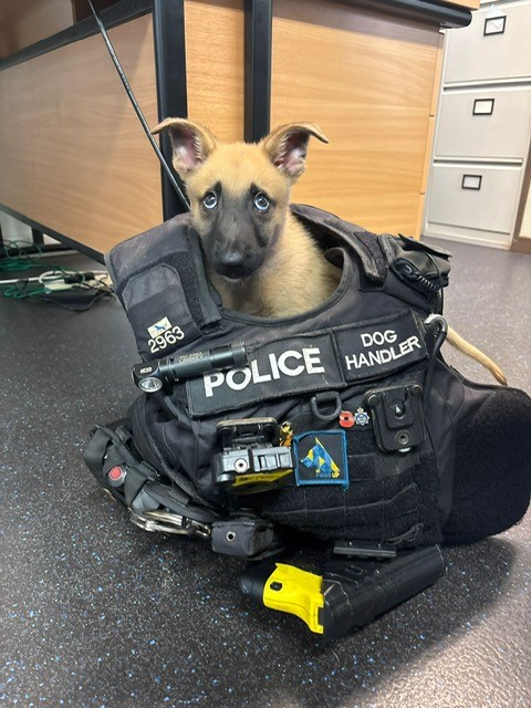 New Recruit