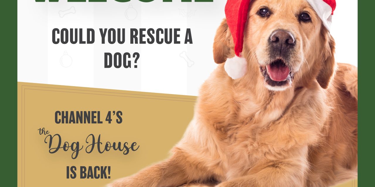 Channel 4’s The Dog House is looking for local applicants 