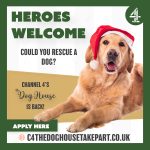 Channel 4’s The Dog House is looking for local applicants 