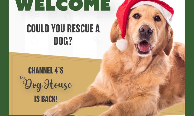 Channel 4’s The Dog House is looking for local applicants 