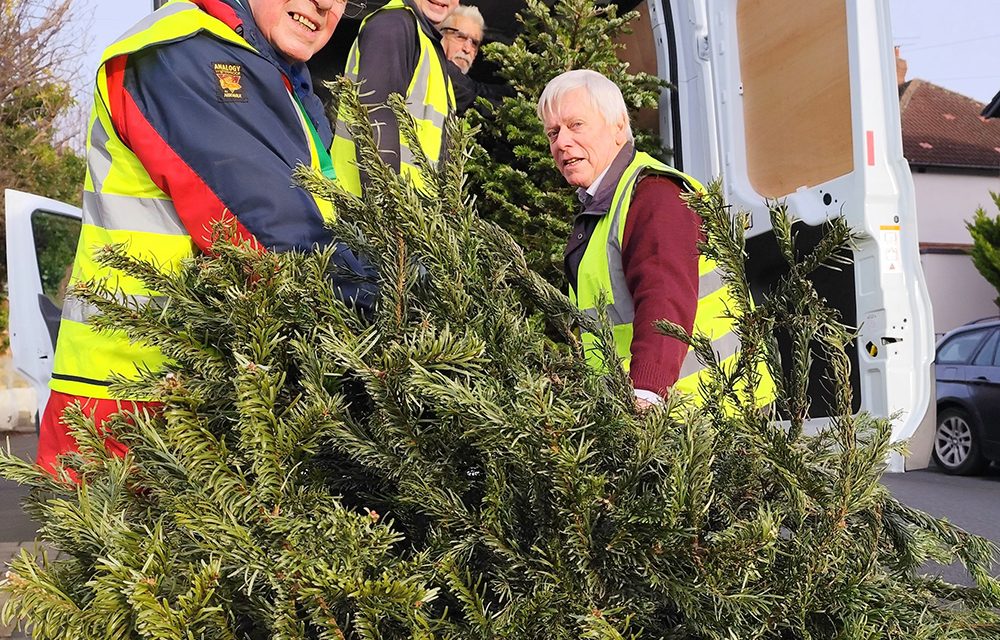 Christmas Tree Collection for Hospice Funds
