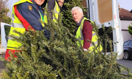 Christmas Tree Collection for Hospice Funds