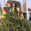 Christmas Tree Collection for Hospice Funds