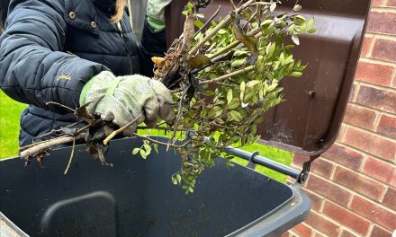 Garden Waste Collections
