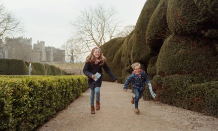 Half Term at Raby Estates