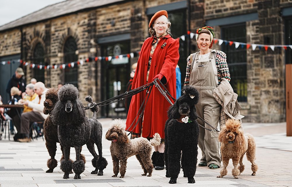 Nostalgic Fun at Hopetown, Darlington