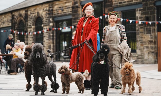 Nostalgic Fun at Hopetown, Darlington