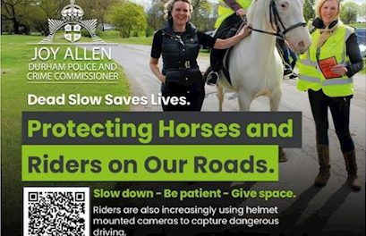 Protecting Horses and Riders on Our Roads