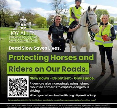 Protecting Horses and Riders on Our Roads