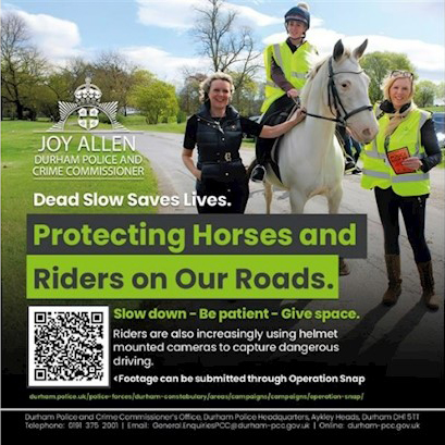 Protecting Horses and Riders on Our Roads