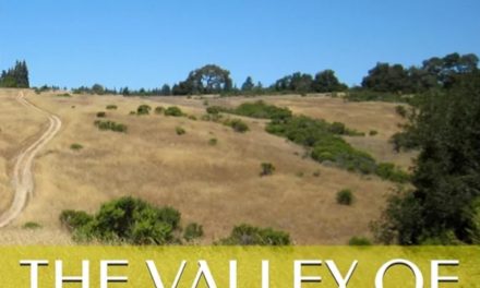Local Author Releases Debut Novella