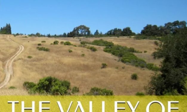 Local Author Releases Debut Novella