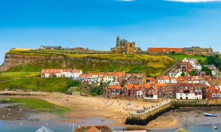 Senior Citizens’ Excursions