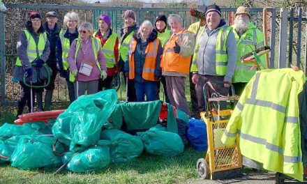 Tidy Team Fifth Anniversary