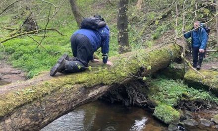 Sometimes You Just Have to Crawl . . .