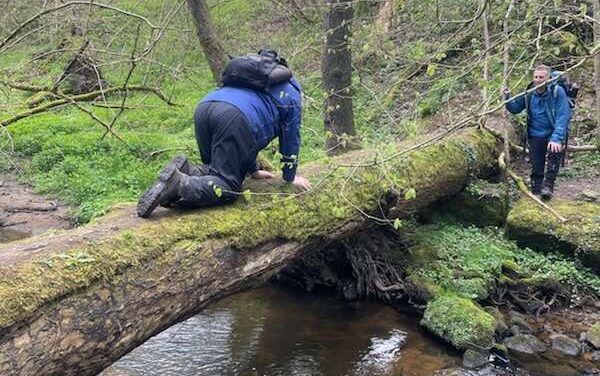 Sometimes You Just Have to Crawl . . .