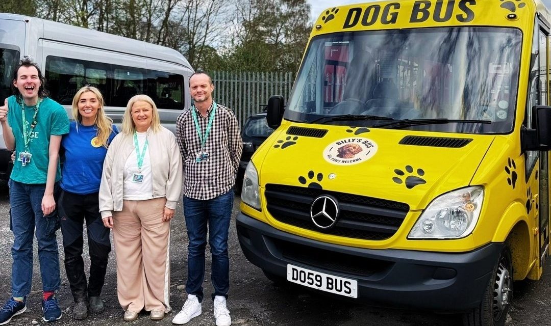 Dog Bus Comes to County Durham