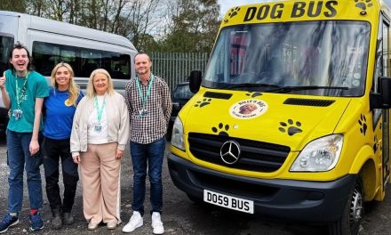 Dog Bus Comes to County Durham