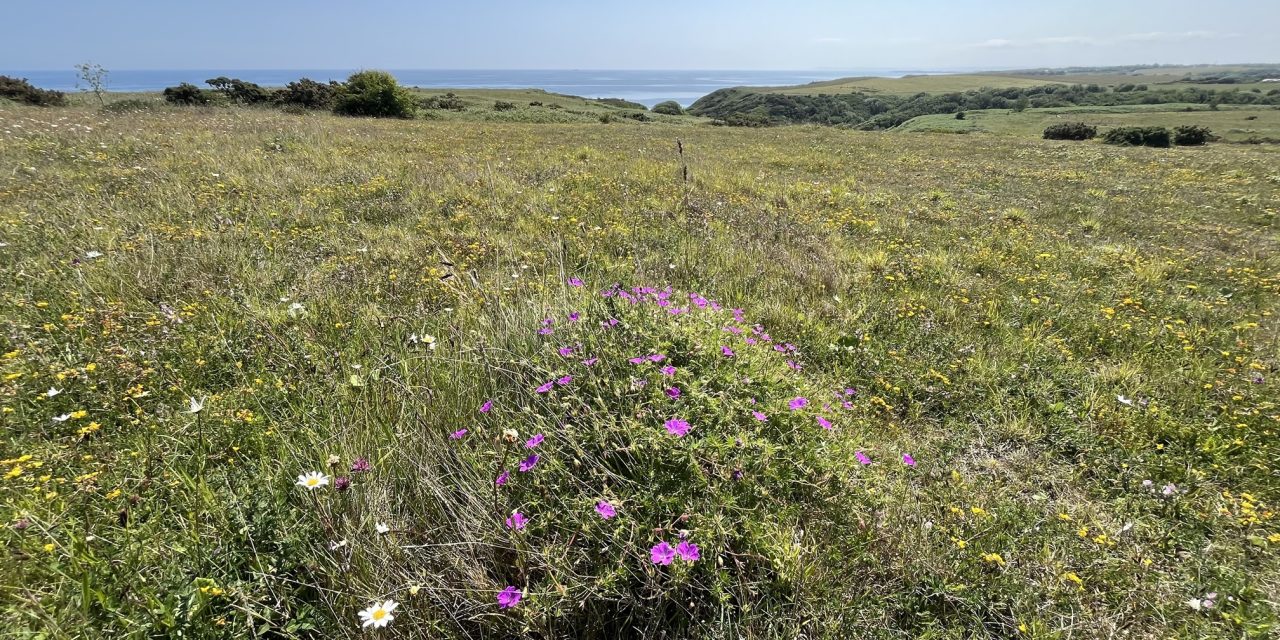 Durham coastal grasslands project successfully completed