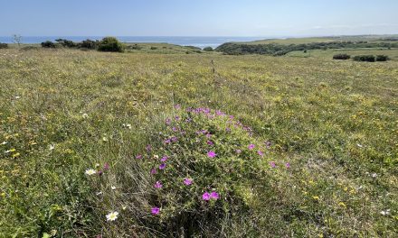Durham coastal grasslands project successfully completed