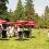 Garden Party
