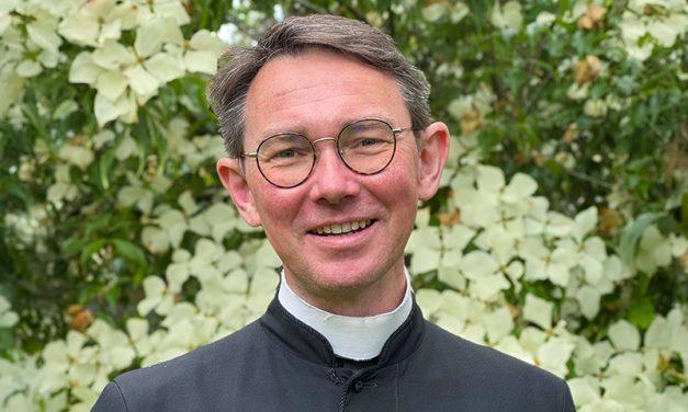 Next Archdeacon of Auckland Announced