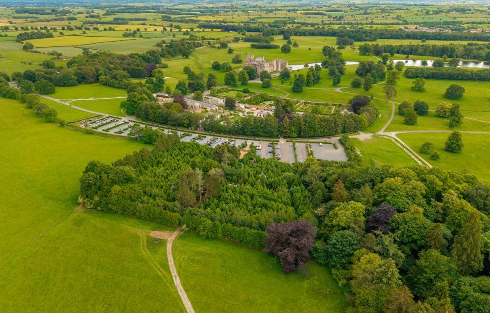 Popular Woodland Adventure Playground to Increase in Size
