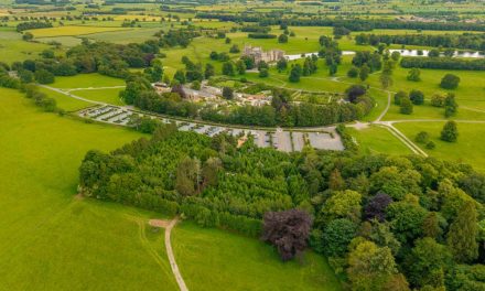 Popular Woodland Adventure Playground to Increase in Size