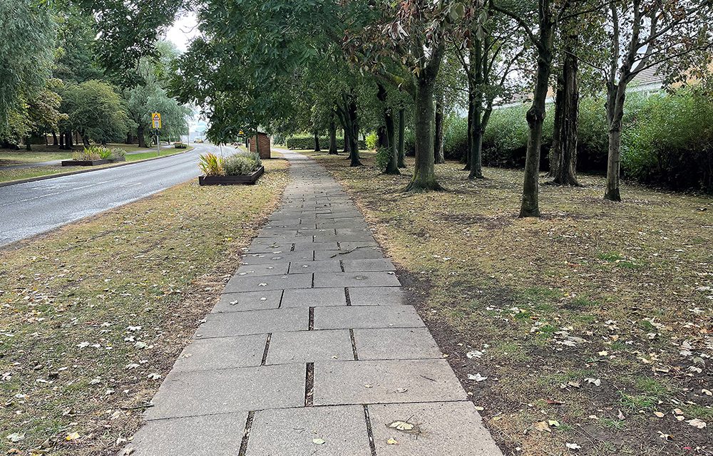 Dangerous Path