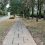 Dangerous Path